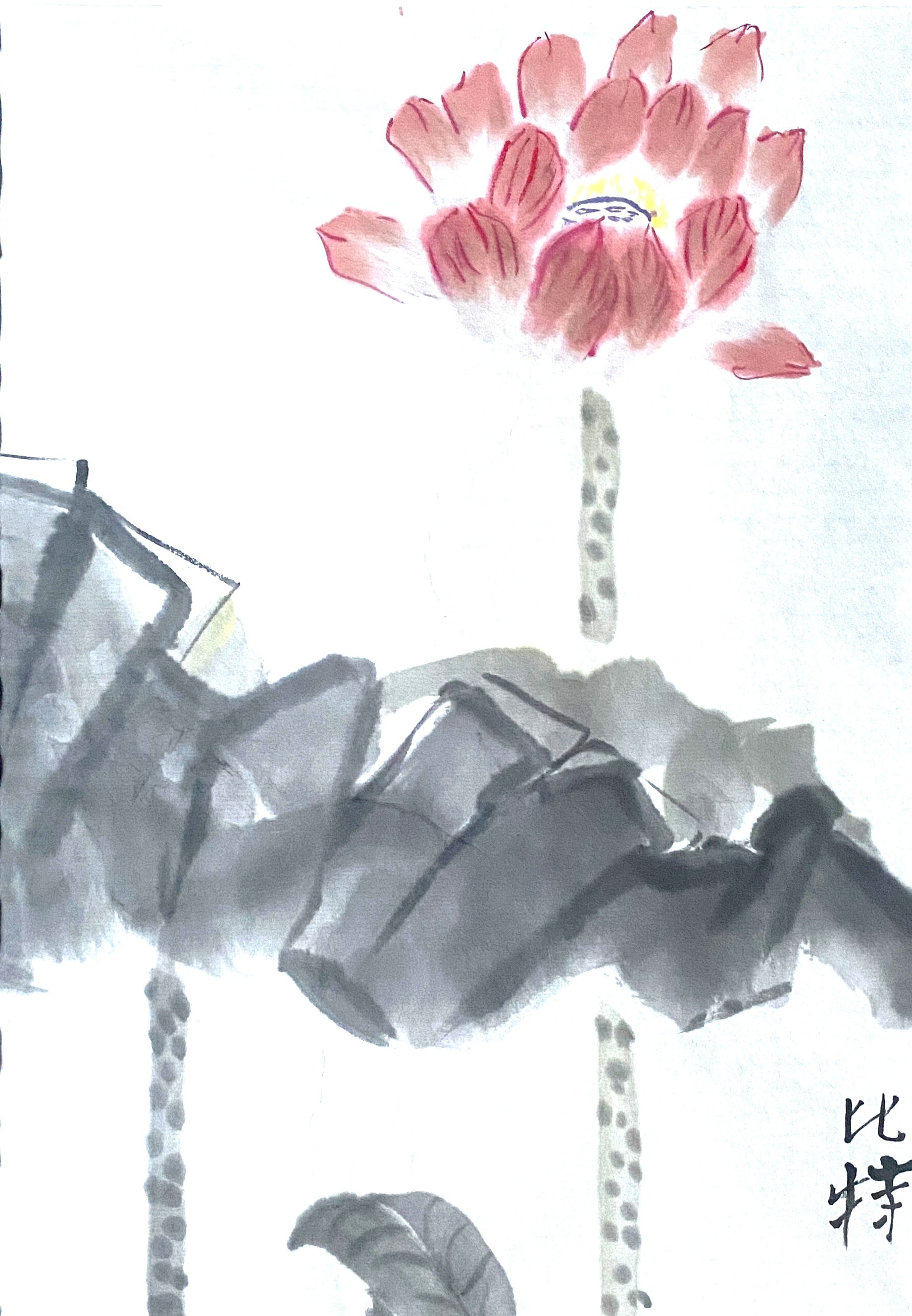 50x70 lotus silkepapir på karton, tusch/akvarel
T8 - 1600,-  indrammet